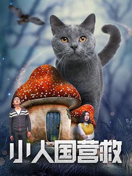 秋霞福利视频