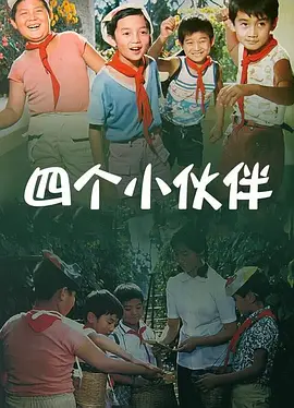 机机对机机视频