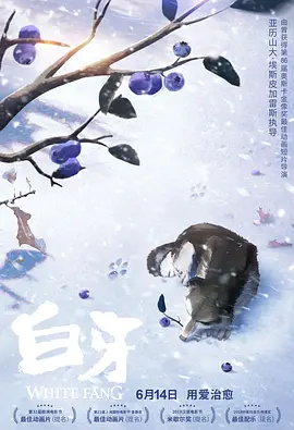 电影 午夜 写真 福利