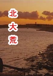 欧美午夜久久