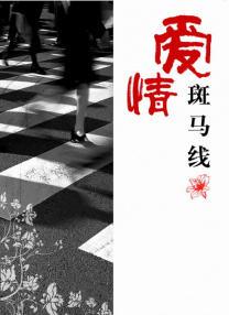 搜查官番号封面